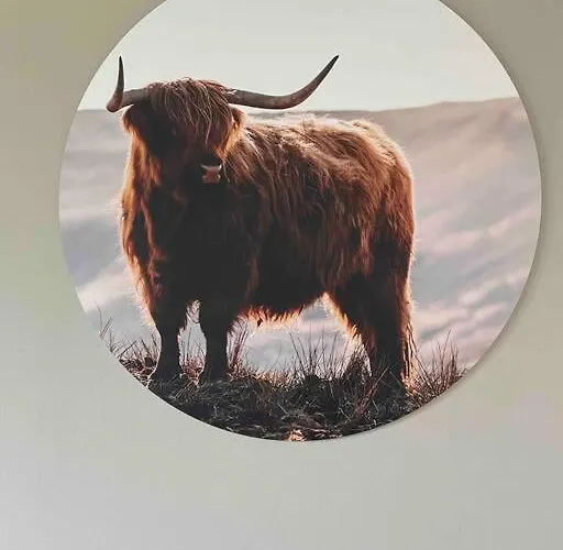 Huisje De Stuit オッテルロ